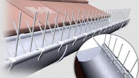 Taubenabwehr für Dachrinne
